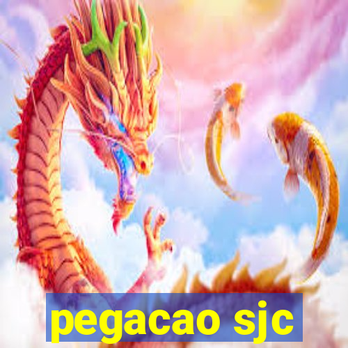 pegacao sjc